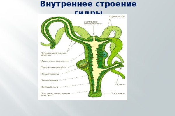 Кракен сайт бошки